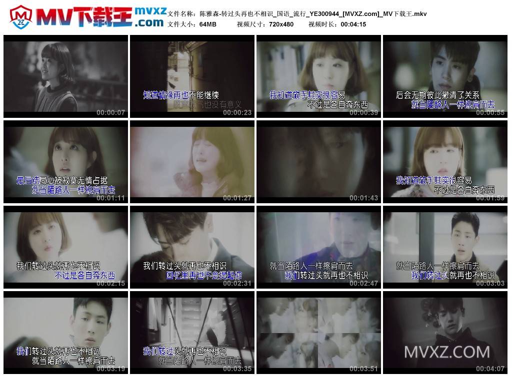 陈雅森-转过头再也不相识_国语_流行_YE300944